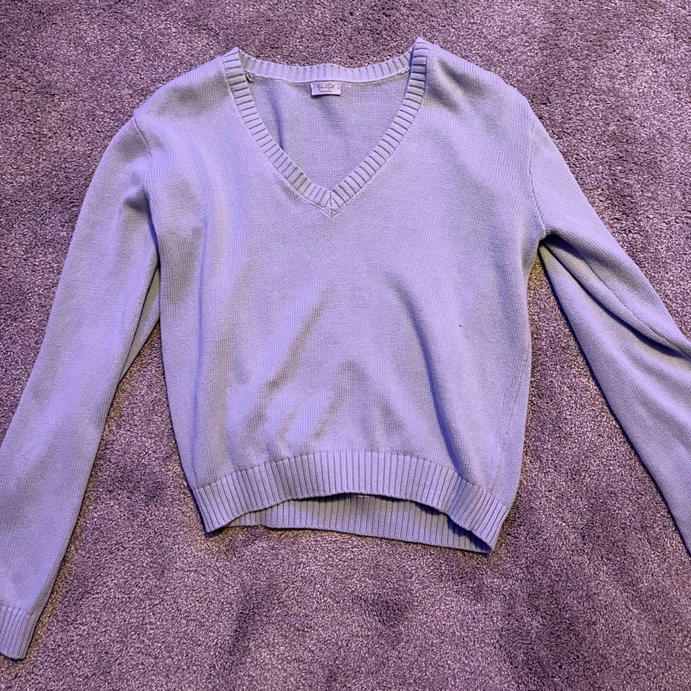 Brandy Melville Blue Sweater